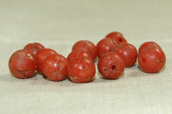 Antique Red Coral Round Bead from Yemen, 5.5-6mm